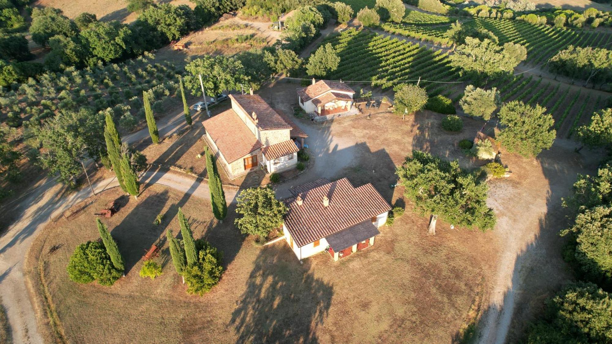 Agriturismo Belvedere Di Pierini E Brugi Campagnatico Extérieur photo